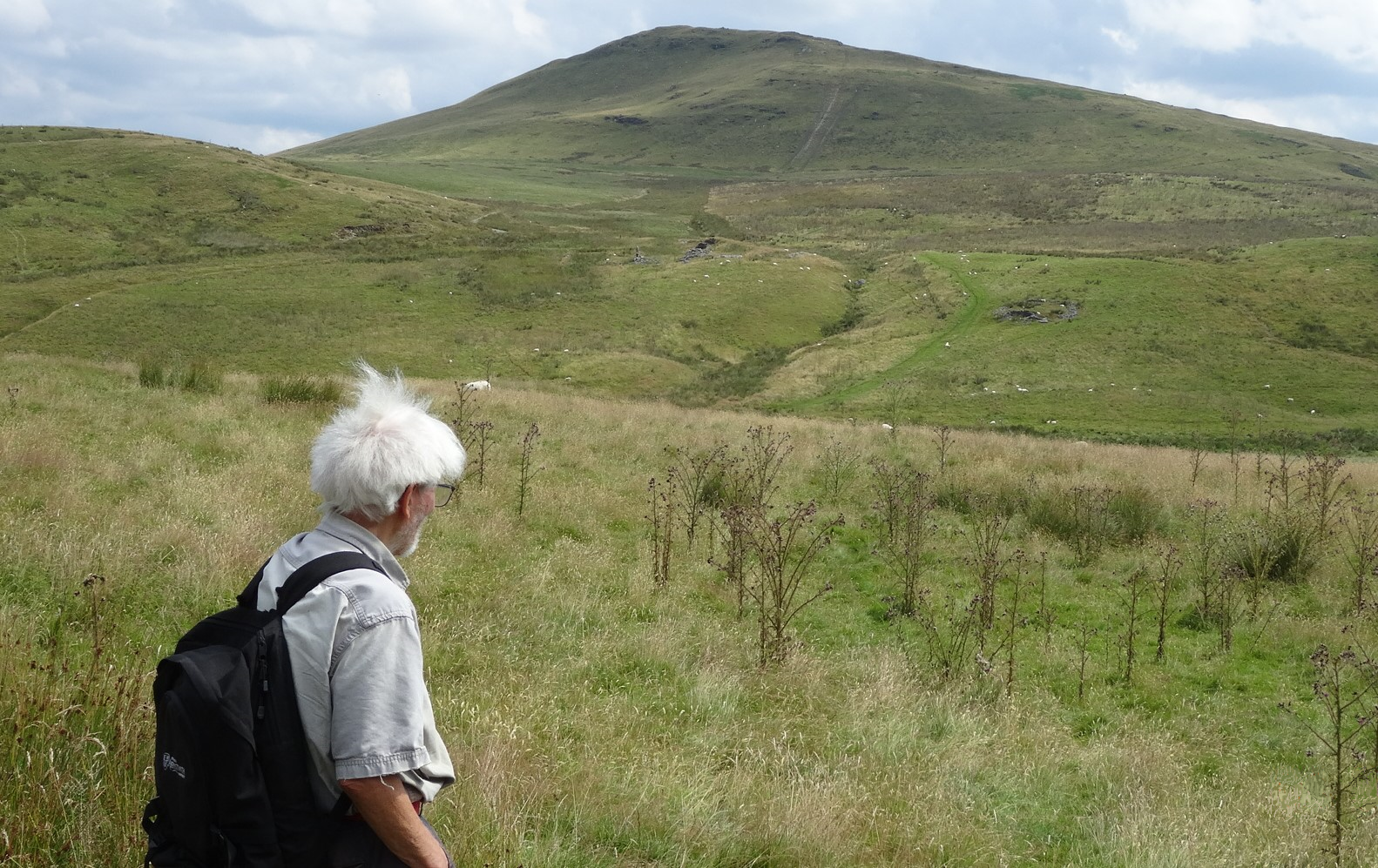 RachelSeabrook.net | Wild Walking | Disgwylfa-Fawr | pic04